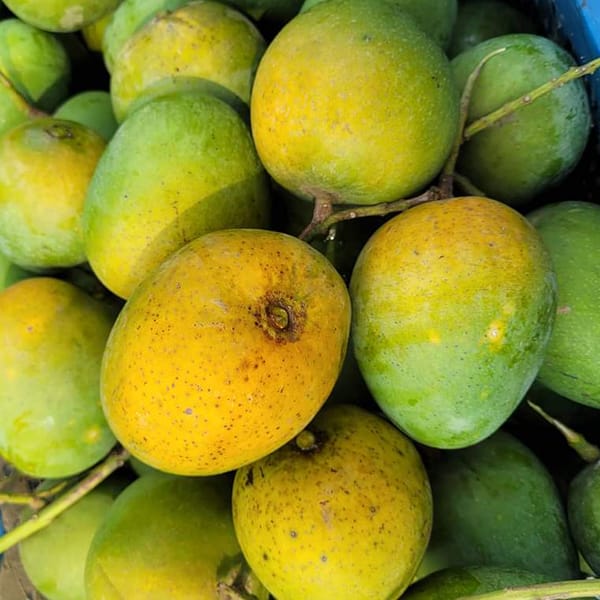 Mango ( খাঁটি আম )